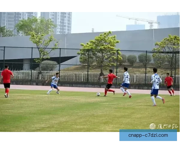 卢城河陈曾吴畏加盟厦门飞鹭队